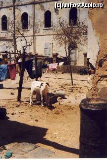 P05 [FEB-1999] fostele case coloniale darapanate