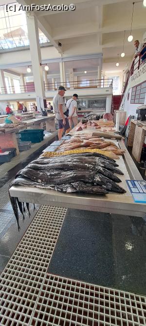 [P14] Espada (pește-sabie) la piața de pește din Funchal, Madeira (cel negru din plan apropiat) » foto by irinad
 - 
<span class="allrVoted glyphicon glyphicon-heart hidden" id="av1506071"></span>
<a class="m-l-10 hidden" id="sv1506071" onclick="voting_Foto_DelVot(,1506071,3733)" role="button">șterge vot <span class="glyphicon glyphicon-remove"></span></a>
<a id="v91506071" class=" c-red"  onclick="voting_Foto_SetVot(1506071)" role="button"><span class="glyphicon glyphicon-heart-empty"></span> <b>LIKE</b> = Votează poza</a> <img class="hidden"  id="f1506071W9" src="/imagini/loader.gif" border="0" /><span class="AjErrMes hidden" id="e1506071ErM"></span>
