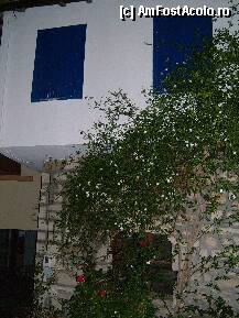 [P1x] Casa traditionala greceasca in Afitos » foto by Andc
 - 
<span class="allrVoted glyphicon glyphicon-heart hidden" id="av34207"></span>
<a class="m-l-10 hidden" id="sv34207" onclick="voting_Foto_DelVot(,34207,3903)" role="button">șterge vot <span class="glyphicon glyphicon-remove"></span></a>
<a id="v934207" class=" c-red"  onclick="voting_Foto_SetVot(34207)" role="button"><span class="glyphicon glyphicon-heart-empty"></span> <b>LIKE</b> = Votează poza</a> <img class="hidden"  id="f34207W9" src="/imagini/loader.gif" border="0" /><span class="AjErrMes hidden" id="e34207ErM"></span>