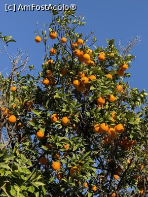 [P15] Kemer » foto by Florris
 - 
<span class="allrVoted glyphicon glyphicon-heart hidden" id="av1513543"></span>
<a class="m-l-10 hidden" id="sv1513543" onclick="voting_Foto_DelVot(,1513543,140)" role="button">șterge vot <span class="glyphicon glyphicon-remove"></span></a>
<a id="v91513543" class=" c-red"  onclick="voting_Foto_SetVot(1513543)" role="button"><span class="glyphicon glyphicon-heart-empty"></span> <b>LIKE</b> = Votează poza</a> <img class="hidden"  id="f1513543W9" src="/imagini/loader.gif" border="0" /><span class="AjErrMes hidden" id="e1513543ErM"></span>