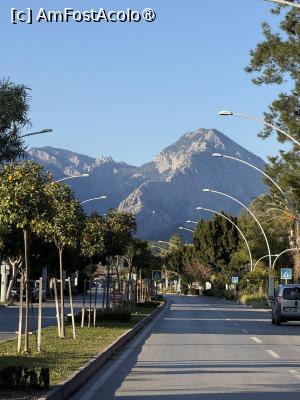 [P29] Street View Kemer » foto by Florris
 - 
<span class="allrVoted glyphicon glyphicon-heart hidden" id="av1513557"></span>
<a class="m-l-10 hidden" id="sv1513557" onclick="voting_Foto_DelVot(,1513557,140)" role="button">șterge vot <span class="glyphicon glyphicon-remove"></span></a>
<a id="v91513557" class=" c-red"  onclick="voting_Foto_SetVot(1513557)" role="button"><span class="glyphicon glyphicon-heart-empty"></span> <b>LIKE</b> = Votează poza</a> <img class="hidden"  id="f1513557W9" src="/imagini/loader.gif" border="0" /><span class="AjErrMes hidden" id="e1513557ErM"></span>