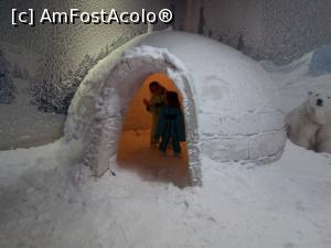 [P09] Inainte de acvariu ne-am racorit la Ice-ceva, nu mai stiu cum ii zice » foto by valimi
 - 
<span class="allrVoted glyphicon glyphicon-heart hidden" id="av931174"></span>
<a class="m-l-10 hidden" id="sv931174" onclick="voting_Foto_DelVot(,931174,176)" role="button">șterge vot <span class="glyphicon glyphicon-remove"></span></a>
<a id="v9931174" class=" c-red"  onclick="voting_Foto_SetVot(931174)" role="button"><span class="glyphicon glyphicon-heart-empty"></span> <b>LIKE</b> = Votează poza</a> <img class="hidden"  id="f931174W9" src="/imagini/loader.gif" border="0" /><span class="AjErrMes hidden" id="e931174ErM"></span>