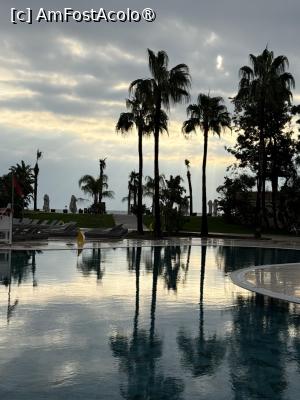 [P11]  -- <small>// FĂRĂ DESCRIERE</small> » foto by Florris
 - 
<span class="allrVoted glyphicon glyphicon-heart hidden" id="av1514047"></span>
<a class="m-l-10 hidden" id="sv1514047" onclick="voting_Foto_DelVot(,1514047,187)" role="button">șterge vot <span class="glyphicon glyphicon-remove"></span></a>
<a id="v91514047" class=" c-red"  onclick="voting_Foto_SetVot(1514047)" role="button"><span class="glyphicon glyphicon-heart-empty"></span> <b>LIKE</b> = Votează poza</a> <img class="hidden"  id="f1514047W9" src="/imagini/loader.gif" border="0" /><span class="AjErrMes hidden" id="e1514047ErM"></span>