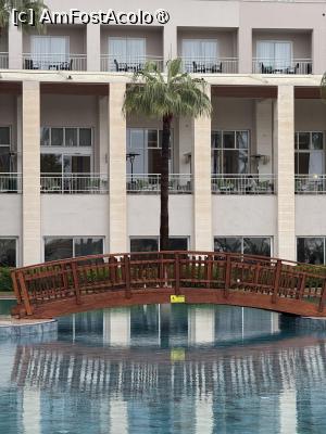 [P17]  -- <small>// FĂRĂ DESCRIERE</small> » foto by Florris
 - 
<span class="allrVoted glyphicon glyphicon-heart hidden" id="av1514053"></span>
<a class="m-l-10 hidden" id="sv1514053" onclick="voting_Foto_DelVot(,1514053,187)" role="button">șterge vot <span class="glyphicon glyphicon-remove"></span></a>
<a id="v91514053" class=" c-red"  onclick="voting_Foto_SetVot(1514053)" role="button"><span class="glyphicon glyphicon-heart-empty"></span> <b>LIKE</b> = Votează poza</a> <img class="hidden"  id="f1514053W9" src="/imagini/loader.gif" border="0" /><span class="AjErrMes hidden" id="e1514053ErM"></span>