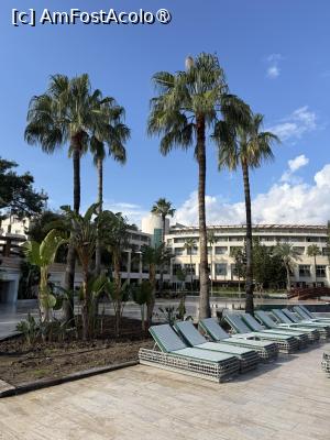 [P18]  -- <small>// FĂRĂ DESCRIERE</small> » foto by Florris
 - 
<span class="allrVoted glyphicon glyphicon-heart hidden" id="av1514054"></span>
<a class="m-l-10 hidden" id="sv1514054" onclick="voting_Foto_DelVot(,1514054,187)" role="button">șterge vot <span class="glyphicon glyphicon-remove"></span></a>
<a id="v91514054" class=" c-red"  onclick="voting_Foto_SetVot(1514054)" role="button"><span class="glyphicon glyphicon-heart-empty"></span> <b>LIKE</b> = Votează poza</a> <img class="hidden"  id="f1514054W9" src="/imagini/loader.gif" border="0" /><span class="AjErrMes hidden" id="e1514054ErM"></span>