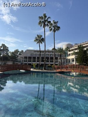 [P19]  -- <small>// FĂRĂ DESCRIERE</small> » foto by Florris
 - 
<span class="allrVoted glyphicon glyphicon-heart hidden" id="av1514055"></span>
<a class="m-l-10 hidden" id="sv1514055" onclick="voting_Foto_DelVot(,1514055,187)" role="button">șterge vot <span class="glyphicon glyphicon-remove"></span></a>
<a id="v91514055" class=" c-red"  onclick="voting_Foto_SetVot(1514055)" role="button"><span class="glyphicon glyphicon-heart-empty"></span> <b>LIKE</b> = Votează poza</a> <img class="hidden"  id="f1514055W9" src="/imagini/loader.gif" border="0" /><span class="AjErrMes hidden" id="e1514055ErM"></span>