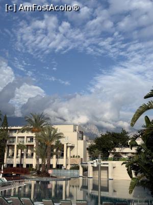 [P20]  -- <small>// FĂRĂ DESCRIERE</small> » foto by Florris
 - 
<span class="allrVoted glyphicon glyphicon-heart hidden" id="av1514056"></span>
<a class="m-l-10 hidden" id="sv1514056" onclick="voting_Foto_DelVot(,1514056,187)" role="button">șterge vot <span class="glyphicon glyphicon-remove"></span></a>
<a id="v91514056" class=" c-red"  onclick="voting_Foto_SetVot(1514056)" role="button"><span class="glyphicon glyphicon-heart-empty"></span> <b>LIKE</b> = Votează poza</a> <img class="hidden"  id="f1514056W9" src="/imagini/loader.gif" border="0" /><span class="AjErrMes hidden" id="e1514056ErM"></span>