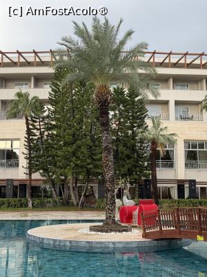 [P21]  -- <small>// FĂRĂ DESCRIERE</small> » foto by Florris
 - 
<span class="allrVoted glyphicon glyphicon-heart hidden" id="av1514057"></span>
<a class="m-l-10 hidden" id="sv1514057" onclick="voting_Foto_DelVot(,1514057,187)" role="button">șterge vot <span class="glyphicon glyphicon-remove"></span></a>
<a id="v91514057" class=" c-red"  onclick="voting_Foto_SetVot(1514057)" role="button"><span class="glyphicon glyphicon-heart-empty"></span> <b>LIKE</b> = Votează poza</a> <img class="hidden"  id="f1514057W9" src="/imagini/loader.gif" border="0" /><span class="AjErrMes hidden" id="e1514057ErM"></span>