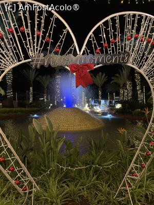 [P05]  -- <small>// FĂRĂ DESCRIERE</small> » foto by Florris
 - 
<span class="allrVoted glyphicon glyphicon-heart hidden" id="av1514041"></span>
<a class="m-l-10 hidden" id="sv1514041" onclick="voting_Foto_DelVot(,1514041,187)" role="button">șterge vot <span class="glyphicon glyphicon-remove"></span></a>
<a id="v91514041" class=" c-red"  onclick="voting_Foto_SetVot(1514041)" role="button"><span class="glyphicon glyphicon-heart-empty"></span> <b>LIKE</b> = Votează poza</a> <img class="hidden"  id="f1514041W9" src="/imagini/loader.gif" border="0" /><span class="AjErrMes hidden" id="e1514041ErM"></span>