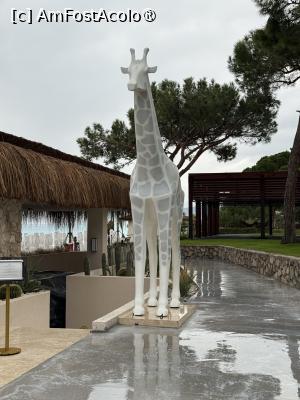 [P06]  -- <small>// FĂRĂ DESCRIERE</small> » foto by Florris
 - 
<span class="allrVoted glyphicon glyphicon-heart hidden" id="av1514042"></span>
<a class="m-l-10 hidden" id="sv1514042" onclick="voting_Foto_DelVot(,1514042,187)" role="button">șterge vot <span class="glyphicon glyphicon-remove"></span></a>
<a id="v91514042" class=" c-red"  onclick="voting_Foto_SetVot(1514042)" role="button"><span class="glyphicon glyphicon-heart-empty"></span> <b>LIKE</b> = Votează poza</a> <img class="hidden"  id="f1514042W9" src="/imagini/loader.gif" border="0" /><span class="AjErrMes hidden" id="e1514042ErM"></span>