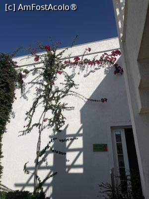 [P16]  -- <small>// FĂRĂ DESCRIERE</small> » foto by raluca banu
 - 
<span class="allrVoted glyphicon glyphicon-heart hidden" id="av1501983"></span>
<a class="m-l-10 hidden" id="sv1501983" onclick="voting_Foto_DelVot(,1501983,232)" role="button">șterge vot <span class="glyphicon glyphicon-remove"></span></a>
<a id="v91501983" class=" c-red"  onclick="voting_Foto_SetVot(1501983)" role="button"><span class="glyphicon glyphicon-heart-empty"></span> <b>LIKE</b> = Votează poza</a> <img class="hidden"  id="f1501983W9" src="/imagini/loader.gif" border="0" /><span class="AjErrMes hidden" id="e1501983ErM"></span>