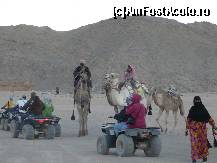 [P10] cu atv-ul in desert » foto by munteanbeatrice
 - 
<span class="allrVoted glyphicon glyphicon-heart hidden" id="av20736"></span>
<a class="m-l-10 hidden" id="sv20736" onclick="voting_Foto_DelVot(,20736,33)" role="button">șterge vot <span class="glyphicon glyphicon-remove"></span></a>
<a id="v920736" class=" c-red"  onclick="voting_Foto_SetVot(20736)" role="button"><span class="glyphicon glyphicon-heart-empty"></span> <b>LIKE</b> = Votează poza</a> <img class="hidden"  id="f20736W9" src="/imagini/loader.gif" border="0" /><span class="AjErrMes hidden" id="e20736ErM"></span>