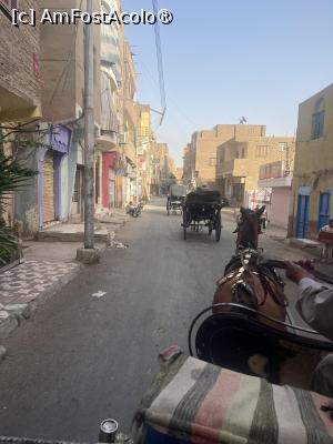[P13] Străzile din Luxor » foto by Yersinia Pestis
 - 
<span class="allrVoted glyphicon glyphicon-heart hidden" id="av1486118"></span>
<a class="m-l-10 hidden" id="sv1486118" onclick="voting_Foto_DelVot(,1486118,351)" role="button">șterge vot <span class="glyphicon glyphicon-remove"></span></a>
<a id="v91486118" class=" c-red"  onclick="voting_Foto_SetVot(1486118)" role="button"><span class="glyphicon glyphicon-heart-empty"></span> <b>LIKE</b> = Votează poza</a> <img class="hidden"  id="f1486118W9" src="/imagini/loader.gif" border="0" /><span class="AjErrMes hidden" id="e1486118ErM"></span>