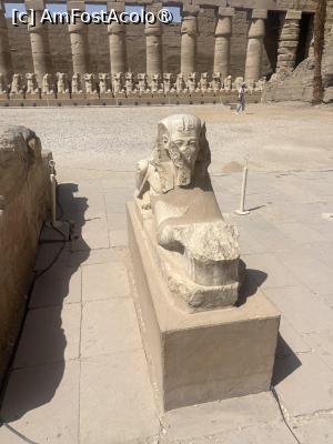 [P07] Karnak- Aleea cu sfincși » foto by Yersinia Pestis
 - 
<span class="allrVoted glyphicon glyphicon-heart hidden" id="av1486112"></span>
<a class="m-l-10 hidden" id="sv1486112" onclick="voting_Foto_DelVot(,1486112,351)" role="button">șterge vot <span class="glyphicon glyphicon-remove"></span></a>
<a id="v91486112" class=" c-red"  onclick="voting_Foto_SetVot(1486112)" role="button"><span class="glyphicon glyphicon-heart-empty"></span> <b>LIKE</b> = Votează poza</a> <img class="hidden"  id="f1486112W9" src="/imagini/loader.gif" border="0" /><span class="AjErrMes hidden" id="e1486112ErM"></span>