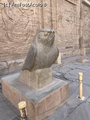 [P09] Edfu-Statuia lui Horus » foto by Yersinia Pestis
 - 
<span class="allrVoted glyphicon glyphicon-heart hidden" id="av1486298"></span>
<a class="m-l-10 hidden" id="sv1486298" onclick="voting_Foto_DelVot(,1486298,351)" role="button">șterge vot <span class="glyphicon glyphicon-remove"></span></a>
<a id="v91486298" class=" c-red"  onclick="voting_Foto_SetVot(1486298)" role="button"><span class="glyphicon glyphicon-heart-empty"></span> <b>LIKE</b> = Votează poza</a> <img class="hidden"  id="f1486298W9" src="/imagini/loader.gif" border="0" /><span class="AjErrMes hidden" id="e1486298ErM"></span>