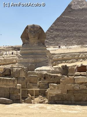 [P26] Marea Piramidă din Giza. Construită pentru eternitate. Sfinxul, cel chemat să păzească eternitatea » foto by Yersinia Pestis
 - 
<span class="allrVoted glyphicon glyphicon-heart hidden" id="av1487119"></span>
<a class="m-l-10 hidden" id="sv1487119" onclick="voting_Foto_DelVot(,1487119,351)" role="button">șterge vot <span class="glyphicon glyphicon-remove"></span></a>
<a id="v91487119" class=" c-red"  onclick="voting_Foto_SetVot(1487119)" role="button"><span class="glyphicon glyphicon-heart-empty"></span> <b>LIKE</b> = Votează poza</a> <img class="hidden"  id="f1487119W9" src="/imagini/loader.gif" border="0" /><span class="AjErrMes hidden" id="e1487119ErM"></span>