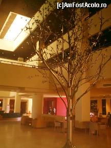 [P04] Poza aceasta este făcută în interiorul hotelului Meliton... Iar copacul este o lucrare de artă, înaltă de vreo două niveluri... Să ştiţi că e interesant... » foto by Aeerdna*
 - 
<span class="allrVoted glyphicon glyphicon-heart hidden" id="av247363"></span>
<a class="m-l-10 hidden" id="sv247363" onclick="voting_Foto_DelVot(,247363,374)" role="button">șterge vot <span class="glyphicon glyphicon-remove"></span></a>
<a id="v9247363" class=" c-red"  onclick="voting_Foto_SetVot(247363)" role="button"><span class="glyphicon glyphicon-heart-empty"></span> <b>LIKE</b> = Votează poza</a> <img class="hidden"  id="f247363W9" src="/imagini/loader.gif" border="0" /><span class="AjErrMes hidden" id="e247363ErM"></span>