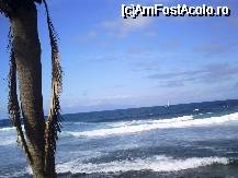 [P01] oceanul Atlantic vazut din Tenerife » foto by anaomy2000
 - 
<span class="allrVoted glyphicon glyphicon-heart hidden" id="av41115"></span>
<a class="m-l-10 hidden" id="sv41115" onclick="voting_Foto_DelVot(,41115,398)" role="button">șterge vot <span class="glyphicon glyphicon-remove"></span></a>
<a id="v941115" class=" c-red"  onclick="voting_Foto_SetVot(41115)" role="button"><span class="glyphicon glyphicon-heart-empty"></span> <b>LIKE</b> = Votează poza</a> <img class="hidden"  id="f41115W9" src="/imagini/loader.gif" border="0" /><span class="AjErrMes hidden" id="e41115ErM"></span>