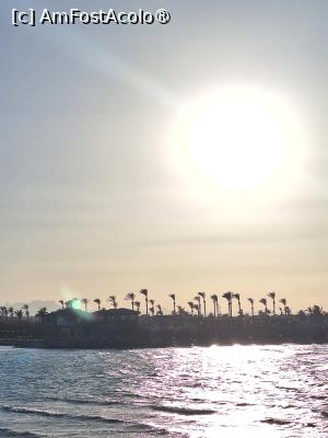 [P20] Marea » foto by mirela2011
 - 
<span class="allrVoted glyphicon glyphicon-heart hidden" id="av1516806"></span>
<a class="m-l-10 hidden" id="sv1516806" onclick="voting_Foto_DelVot(,1516806,422)" role="button">șterge vot <span class="glyphicon glyphicon-remove"></span></a>
<a id="v91516806" class=" c-red"  onclick="voting_Foto_SetVot(1516806)" role="button"><span class="glyphicon glyphicon-heart-empty"></span> <b>LIKE</b> = Votează poza</a> <img class="hidden"  id="f1516806W9" src="/imagini/loader.gif" border="0" /><span class="AjErrMes hidden" id="e1516806ErM"></span>