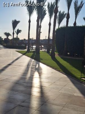 [P07] Prin resort » foto by mirela2011
 - 
<span class="allrVoted glyphicon glyphicon-heart hidden" id="av1516793"></span>
<a class="m-l-10 hidden" id="sv1516793" onclick="voting_Foto_DelVot(,1516793,422)" role="button">șterge vot <span class="glyphicon glyphicon-remove"></span></a>
<a id="v91516793" class=" c-red"  onclick="voting_Foto_SetVot(1516793)" role="button"><span class="glyphicon glyphicon-heart-empty"></span> <b>LIKE</b> = Votează poza</a> <img class="hidden"  id="f1516793W9" src="/imagini/loader.gif" border="0" /><span class="AjErrMes hidden" id="e1516793ErM"></span>