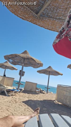 [P09] Plaja » foto by mirela2011
 - 
<span class="allrVoted glyphicon glyphicon-heart hidden" id="av1516795"></span>
<a class="m-l-10 hidden" id="sv1516795" onclick="voting_Foto_DelVot(,1516795,422)" role="button">șterge vot <span class="glyphicon glyphicon-remove"></span></a>
<a id="v91516795" class=" c-red"  onclick="voting_Foto_SetVot(1516795)" role="button"><span class="glyphicon glyphicon-heart-empty"></span> <b>LIKE</b> = Votează poza</a> <img class="hidden"  id="f1516795W9" src="/imagini/loader.gif" border="0" /><span class="AjErrMes hidden" id="e1516795ErM"></span>