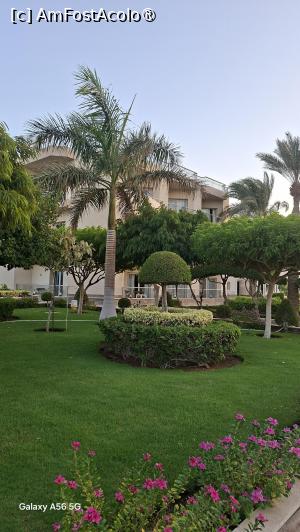 [P08] Prin resort. » foto by Rodel
 - 
<span class="allrVoted glyphicon glyphicon-heart hidden" id="av1547888"></span>
<a class="m-l-10 hidden" id="sv1547888" onclick="voting_Foto_DelVot(,1547888,454)" role="button">șterge vot <span class="glyphicon glyphicon-remove"></span></a>
<a id="v91547888" class=" c-red"  onclick="voting_Foto_SetVot(1547888)" role="button"><span class="glyphicon glyphicon-heart-empty"></span> <b>LIKE</b> = Votează poza</a> <img class="hidden"  id="f1547888W9" src="/imagini/loader.gif" border="0" /><span class="AjErrMes hidden" id="e1547888ErM"></span>