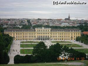 P24 [JUL-2014] palatul Schounbrun Viena