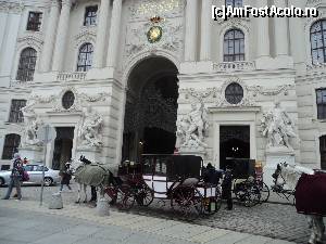 [P05] City Break Viena 28.11 – 02.12.2013, o mini-vacanta de Sf. Andrei si 1 decembrie inainte de sarbatorile de iarna. Principale obiective vizitate : Palatul Schonbrunn, Catedrala Sf. Stefan, Muzeul de Istorie a Artei, Primaria din Viena (Rathaus), Opera de Stat.  » foto by vega06
 - 
<span class="allrVoted glyphicon glyphicon-heart hidden" id="av571525"></span>
<a class="m-l-10 hidden" id="sv571525" onclick="voting_Foto_DelVot(,571525,461)" role="button">șterge vot <span class="glyphicon glyphicon-remove"></span></a>
<a id="v9571525" class=" c-red"  onclick="voting_Foto_SetVot(571525)" role="button"><span class="glyphicon glyphicon-heart-empty"></span> <b>LIKE</b> = Votează poza</a> <img class="hidden"  id="f571525W9" src="/imagini/loader.gif" border="0" /><span class="AjErrMes hidden" id="e571525ErM"></span>