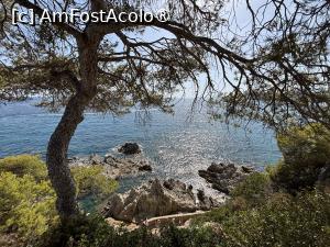 [P40] Vedere de la castel » foto by AZE
 - 
<span class="allrVoted glyphicon glyphicon-heart hidden" id="av1546807"></span>
<a class="m-l-10 hidden" id="sv1546807" onclick="voting_Foto_DelVot(,1546807,479)" role="button">șterge vot <span class="glyphicon glyphicon-remove"></span></a>
<a id="v91546807" class=" c-red"  onclick="voting_Foto_SetVot(1546807)" role="button"><span class="glyphicon glyphicon-heart-empty"></span> <b>LIKE</b> = Votează poza</a> <img class="hidden"  id="f1546807W9" src="/imagini/loader.gif" border="0" /><span class="AjErrMes hidden" id="e1546807ErM"></span>