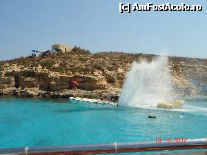 [P03] Laguna Albastra - Comino Island » foto by Dana2323
 - 
<span class="allrVoted glyphicon glyphicon-heart hidden" id="av495743"></span>
<a class="m-l-10 hidden" id="sv495743" onclick="voting_Foto_DelVot(,495743,556)" role="button">șterge vot <span class="glyphicon glyphicon-remove"></span></a>
<a id="v9495743" class=" c-red"  onclick="voting_Foto_SetVot(495743)" role="button"><span class="glyphicon glyphicon-heart-empty"></span> <b>LIKE</b> = Votează poza</a> <img class="hidden"  id="f495743W9" src="/imagini/loader.gif" border="0" /><span class="AjErrMes hidden" id="e495743ErM"></span>