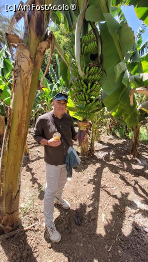 [P19] Insula Bananelor, Luxor » foto by vlado2
 - 
<span class="allrVoted glyphicon glyphicon-heart hidden" id="av1522837"></span>
<a class="m-l-10 hidden" id="sv1522837" onclick="voting_Foto_DelVot(,1522837,566)" role="button">șterge vot <span class="glyphicon glyphicon-remove"></span></a>
<a id="v91522837" class=" c-red"  onclick="voting_Foto_SetVot(1522837)" role="button"><span class="glyphicon glyphicon-heart-empty"></span> <b>LIKE</b> = Votează poza</a> <img class="hidden"  id="f1522837W9" src="/imagini/loader.gif" border="0" /><span class="AjErrMes hidden" id="e1522837ErM"></span>