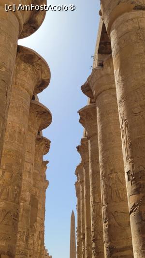 [P04] Templul Karnak, Luxor » foto by vlado2
 - 
<span class="allrVoted glyphicon glyphicon-heart hidden" id="av1522822"></span>
<a class="m-l-10 hidden" id="sv1522822" onclick="voting_Foto_DelVot(,1522822,566)" role="button">șterge vot <span class="glyphicon glyphicon-remove"></span></a>
<a id="v91522822" class=" c-red"  onclick="voting_Foto_SetVot(1522822)" role="button"><span class="glyphicon glyphicon-heart-empty"></span> <b>LIKE</b> = Votează poza</a> <img class="hidden"  id="f1522822W9" src="/imagini/loader.gif" border="0" /><span class="AjErrMes hidden" id="e1522822ErM"></span>