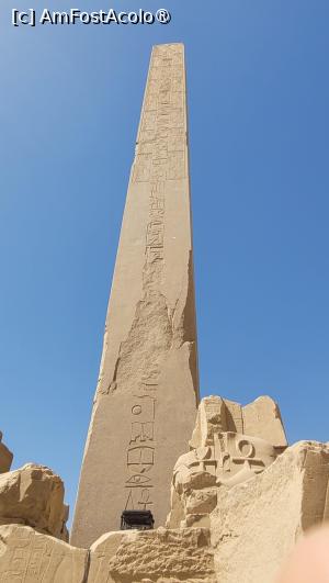 [P06] Templul Karnak, Luxor » foto by vlado2
 - 
<span class="allrVoted glyphicon glyphicon-heart hidden" id="av1522824"></span>
<a class="m-l-10 hidden" id="sv1522824" onclick="voting_Foto_DelVot(,1522824,566)" role="button">șterge vot <span class="glyphicon glyphicon-remove"></span></a>
<a id="v91522824" class=" c-red"  onclick="voting_Foto_SetVot(1522824)" role="button"><span class="glyphicon glyphicon-heart-empty"></span> <b>LIKE</b> = Votează poza</a> <img class="hidden"  id="f1522824W9" src="/imagini/loader.gif" border="0" /><span class="AjErrMes hidden" id="e1522824ErM"></span>