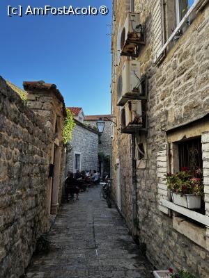 [P11]  -- <small>// FĂRĂ DESCRIERE</small> » foto by ciobi2309
 - 
<span class="allrVoted glyphicon glyphicon-heart hidden" id="av1499303"></span>
<a class="m-l-10 hidden" id="sv1499303" onclick="voting_Foto_DelVot(,1499303,595)" role="button">șterge vot <span class="glyphicon glyphicon-remove"></span></a>
<a id="v91499303" class=" c-red"  onclick="voting_Foto_SetVot(1499303)" role="button"><span class="glyphicon glyphicon-heart-empty"></span> <b>LIKE</b> = Votează poza</a> <img class="hidden"  id="f1499303W9" src="/imagini/loader.gif" border="0" /><span class="AjErrMes hidden" id="e1499303ErM"></span>