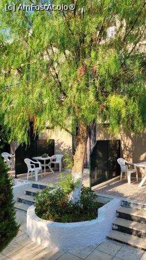 [P05] Merlis Studios, Kalamaki - Zakynthos » foto by vlado2
 - 
<span class="allrVoted glyphicon glyphicon-heart hidden" id="av1519202"></span>
<a class="m-l-10 hidden" id="sv1519202" onclick="voting_Foto_DelVot(,1519202,640)" role="button">șterge vot <span class="glyphicon glyphicon-remove"></span></a>
<a id="v91519202" class=" c-red"  onclick="voting_Foto_SetVot(1519202)" role="button"><span class="glyphicon glyphicon-heart-empty"></span> <b>LIKE</b> = Votează poza</a> <img class="hidden"  id="f1519202W9" src="/imagini/loader.gif" border="0" /><span class="AjErrMes hidden" id="e1519202ErM"></span>