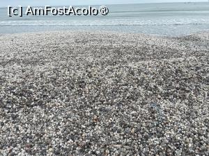 [P03] Scoicile de care spuneam » foto by Yersinia Pestis
 - 
<span class="allrVoted glyphicon glyphicon-heart hidden" id="av1518531"></span>
<a class="m-l-10 hidden" id="sv1518531" onclick="voting_Foto_DelVot(,1518531,766)" role="button">șterge vot <span class="glyphicon glyphicon-remove"></span></a>
<a id="v91518531" class=" c-red"  onclick="voting_Foto_SetVot(1518531)" role="button"><span class="glyphicon glyphicon-heart-empty"></span> <b>LIKE</b> = Votează poza</a> <img class="hidden"  id="f1518531W9" src="/imagini/loader.gif" border="0" /><span class="AjErrMes hidden" id="e1518531ErM"></span>