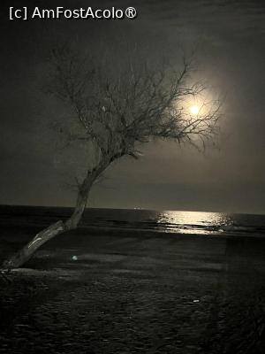 [P07] Marea Neagră - Noaptea la Mamaia Nord , iarna » foto by Yersinia Pestis
 - 
<span class="allrVoted glyphicon glyphicon-heart hidden" id="av1518535"></span>
<a class="m-l-10 hidden" id="sv1518535" onclick="voting_Foto_DelVot(,1518535,766)" role="button">șterge vot <span class="glyphicon glyphicon-remove"></span></a>
<a id="v91518535" class=" c-red"  onclick="voting_Foto_SetVot(1518535)" role="button"><span class="glyphicon glyphicon-heart-empty"></span> <b>LIKE</b> = Votează poza</a> <img class="hidden"  id="f1518535W9" src="/imagini/loader.gif" border="0" /><span class="AjErrMes hidden" id="e1518535ErM"></span>