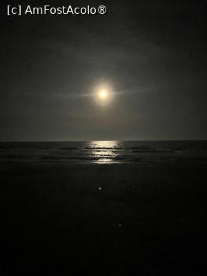 [P08] Marea Neagră - Noaptea la Mamaia Nord, iarna » foto by Yersinia Pestis
 - 
<span class="allrVoted glyphicon glyphicon-heart hidden" id="av1518536"></span>
<a class="m-l-10 hidden" id="sv1518536" onclick="voting_Foto_DelVot(,1518536,766)" role="button">șterge vot <span class="glyphicon glyphicon-remove"></span></a>
<a id="v91518536" class=" c-red"  onclick="voting_Foto_SetVot(1518536)" role="button"><span class="glyphicon glyphicon-heart-empty"></span> <b>LIKE</b> = Votează poza</a> <img class="hidden"  id="f1518536W9" src="/imagini/loader.gif" border="0" /><span class="AjErrMes hidden" id="e1518536ErM"></span>