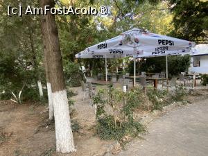 [P75] Hotel Majestic Mamaia - prin grădină » foto by nicole33
 - 
<span class="allrVoted glyphicon glyphicon-heart hidden" id="av1511870"></span>
<a class="m-l-10 hidden" id="sv1511870" onclick="voting_Foto_DelVot(,1511870,782)" role="button">șterge vot <span class="glyphicon glyphicon-remove"></span></a>
<a id="v91511870" class=" c-red"  onclick="voting_Foto_SetVot(1511870)" role="button"><span class="glyphicon glyphicon-heart-empty"></span> <b>LIKE</b> = Votează poza</a> <img class="hidden"  id="f1511870W9" src="/imagini/loader.gif" border="0" /><span class="AjErrMes hidden" id="e1511870ErM"></span>