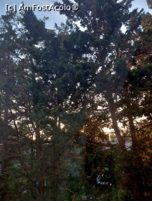 [P09] Imagine cu vegetația specifică stațiunilor de pe litoralul românesc, vedere din holul hotelului » foto by mnn
 - 
<span class="allrVoted glyphicon glyphicon-heart hidden" id="av1540433"></span>
<a class="m-l-10 hidden" id="sv1540433" onclick="voting_Foto_DelVot(,1540433,859)" role="button">șterge vot <span class="glyphicon glyphicon-remove"></span></a>
<a id="v91540433" class=" c-red"  onclick="voting_Foto_SetVot(1540433)" role="button"><span class="glyphicon glyphicon-heart-empty"></span> <b>LIKE</b> = Votează poza</a> <img class="hidden"  id="f1540433W9" src="/imagini/loader.gif" border="0" /><span class="AjErrMes hidden" id="e1540433ErM"></span>