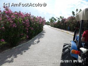 [P34] Plimbarea cu tractorașul pe aleea ce conduce la plajă » foto by Alina53
 - 
<span class="allrVoted glyphicon glyphicon-heart hidden" id="av858922"></span>
<a class="m-l-10 hidden" id="sv858922" onclick="voting_Foto_DelVot(,858922,99)" role="button">șterge vot <span class="glyphicon glyphicon-remove"></span></a>
<a id="v9858922" class=" c-red"  onclick="voting_Foto_SetVot(858922)" role="button"><span class="glyphicon glyphicon-heart-empty"></span> <b>LIKE</b> = Votează poza</a> <img class="hidden"  id="f858922W9" src="/imagini/loader.gif" border="0" /><span class="AjErrMes hidden" id="e858922ErM"></span>