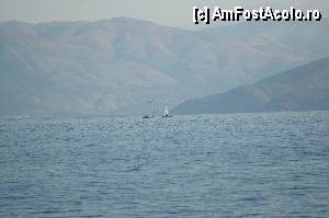 [P01] Pe ferryboat, in dreapta se pot obseva muntii de pe coasta Albaniei » foto by noi doi
 - 
<span class="allrVoted glyphicon glyphicon-heart hidden" id="av365103"></span>
<a class="m-l-10 hidden" id="sv365103" onclick="voting_Foto_DelVot(,365103,993)" role="button">șterge vot <span class="glyphicon glyphicon-remove"></span></a>
<a id="v9365103" class=" c-red"  onclick="voting_Foto_SetVot(365103)" role="button"><span class="glyphicon glyphicon-heart-empty"></span> <b>LIKE</b> = Votează poza</a> <img class="hidden"  id="f365103W9" src="/imagini/loader.gif" border="0" /><span class="AjErrMes hidden" id="e365103ErM"></span>