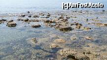 [P20] formatiuni stancoase in apropiere de Agios Georgios » foto by deliutza27
 - 
<span class="allrVoted glyphicon glyphicon-heart hidden" id="av189517"></span>
<a class="m-l-10 hidden" id="sv189517" onclick="voting_Foto_DelVot(,189517,993)" role="button">șterge vot <span class="glyphicon glyphicon-remove"></span></a>
<a id="v9189517" class=" c-red"  onclick="voting_Foto_SetVot(189517)" role="button"><span class="glyphicon glyphicon-heart-empty"></span> <b>LIKE</b> = Votează poza</a> <img class="hidden"  id="f189517W9" src="/imagini/loader.gif" border="0" /><span class="AjErrMes hidden" id="e189517ErM"></span>