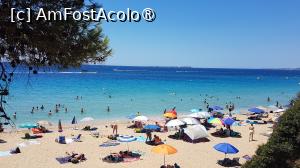 [P30] Plaja Makri Gialos, Kefalonia » foto by vlado2
 - 
<span class="allrVoted glyphicon glyphicon-heart hidden" id="av1519177"></span>
<a class="m-l-10 hidden" id="sv1519177" onclick="voting_Foto_DelVot(,1519177,1121)" role="button">șterge vot <span class="glyphicon glyphicon-remove"></span></a>
<a id="v91519177" class=" c-red"  onclick="voting_Foto_SetVot(1519177)" role="button"><span class="glyphicon glyphicon-heart-empty"></span> <b>LIKE</b> = Votează poza</a> <img class="hidden"  id="f1519177W9" src="/imagini/loader.gif" border="0" /><span class="AjErrMes hidden" id="e1519177ErM"></span>