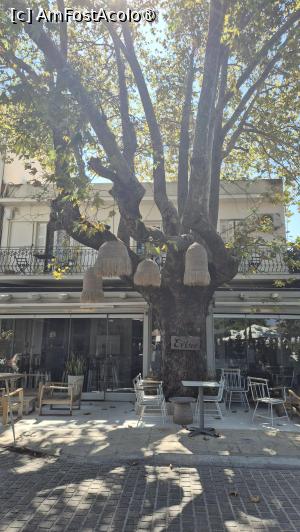 [P24] Argostoli - prin zona centrală » foto by ANILU
 - 
<span class="allrVoted glyphicon glyphicon-heart hidden" id="av1545340"></span>
<a class="m-l-10 hidden" id="sv1545340" onclick="voting_Foto_DelVot(,1545340,1121)" role="button">șterge vot <span class="glyphicon glyphicon-remove"></span></a>
<a id="v91545340" class=" c-red"  onclick="voting_Foto_SetVot(1545340)" role="button"><span class="glyphicon glyphicon-heart-empty"></span> <b>LIKE</b> = Votează poza</a> <img class="hidden"  id="f1545340W9" src="/imagini/loader.gif" border="0" /><span class="AjErrMes hidden" id="e1545340ErM"></span>