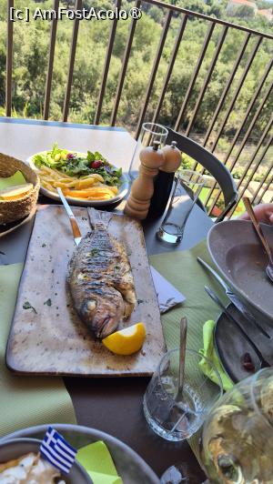 [P21] La masă la Taverna Crysafis - Red snapper » foto by ANILU
 - 
<span class="allrVoted glyphicon glyphicon-heart hidden" id="av1546748"></span>
<a class="m-l-10 hidden" id="sv1546748" onclick="voting_Foto_DelVot(,1546748,1121)" role="button">șterge vot <span class="glyphicon glyphicon-remove"></span></a>
<a id="v91546748" class=" c-red"  onclick="voting_Foto_SetVot(1546748)" role="button"><span class="glyphicon glyphicon-heart-empty"></span> <b>LIKE</b> = Votează poza</a> <img class="hidden"  id="f1546748W9" src="/imagini/loader.gif" border="0" /><span class="AjErrMes hidden" id="e1546748ErM"></span>