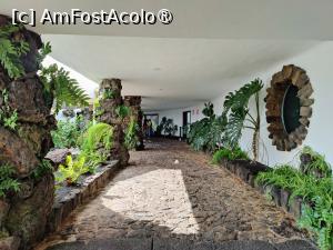 [P48] Jameos del Aqua; Casa Vulcanilor » foto by crismis
 - 
<span class="allrVoted glyphicon glyphicon-heart hidden" id="av1483740"></span>
<a class="m-l-10 hidden" id="sv1483740" onclick="voting_Foto_DelVot(,1483740,1154)" role="button">șterge vot <span class="glyphicon glyphicon-remove"></span></a>
<a id="v91483740" class=" c-red"  onclick="voting_Foto_SetVot(1483740)" role="button"><span class="glyphicon glyphicon-heart-empty"></span> <b>LIKE</b> = Votează poza</a> <img class="hidden"  id="f1483740W9" src="/imagini/loader.gif" border="0" /><span class="AjErrMes hidden" id="e1483740ErM"></span>