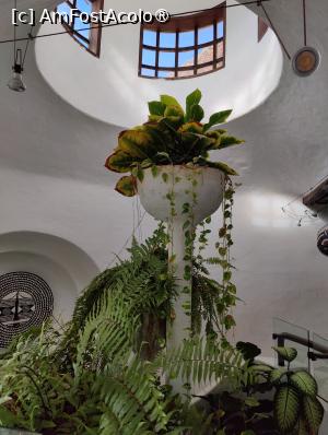 [P24] Muzeul LagOmar » foto by crismis
 - 
<span class="allrVoted glyphicon glyphicon-heart hidden" id="av1484339"></span>
<a class="m-l-10 hidden" id="sv1484339" onclick="voting_Foto_DelVot(,1484339,1154)" role="button">șterge vot <span class="glyphicon glyphicon-remove"></span></a>
<a id="v91484339" class=" c-red"  onclick="voting_Foto_SetVot(1484339)" role="button"><span class="glyphicon glyphicon-heart-empty"></span> <b>LIKE</b> = Votează poza</a> <img class="hidden"  id="f1484339W9" src="/imagini/loader.gif" border="0" /><span class="AjErrMes hidden" id="e1484339ErM"></span>