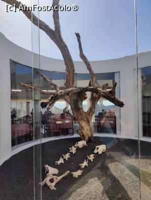 [P31] Parcul Național Timafaya; decor în restaurant » foto by crismis
 - 
<span class="allrVoted glyphicon glyphicon-heart hidden" id="av1484661"></span>
<a class="m-l-10 hidden" id="sv1484661" onclick="voting_Foto_DelVot(,1484661,1154)" role="button">șterge vot <span class="glyphicon glyphicon-remove"></span></a>
<a id="v91484661" class=" c-red"  onclick="voting_Foto_SetVot(1484661)" role="button"><span class="glyphicon glyphicon-heart-empty"></span> <b>LIKE</b> = Votează poza</a> <img class="hidden"  id="f1484661W9" src="/imagini/loader.gif" border="0" /><span class="AjErrMes hidden" id="e1484661ErM"></span>