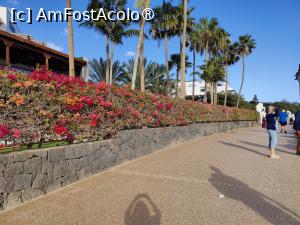 [P66] La pas prin Playa Blanca » foto by crismis
 - 
<span class="allrVoted glyphicon glyphicon-heart hidden" id="av1484696"></span>
<a class="m-l-10 hidden" id="sv1484696" onclick="voting_Foto_DelVot(,1484696,1154)" role="button">șterge vot <span class="glyphicon glyphicon-remove"></span></a>
<a id="v91484696" class=" c-red"  onclick="voting_Foto_SetVot(1484696)" role="button"><span class="glyphicon glyphicon-heart-empty"></span> <b>LIKE</b> = Votează poza</a> <img class="hidden"  id="f1484696W9" src="/imagini/loader.gif" border="0" /><span class="AjErrMes hidden" id="e1484696ErM"></span>